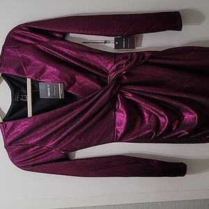 Magenta F21 dress